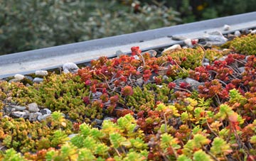 the cost of Tayvallich green roof installation